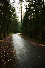 Image showing Asphalt road going through dark conifer forest