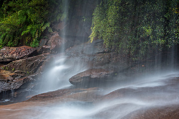 Image showing Maddens Falls in Darkes Forest