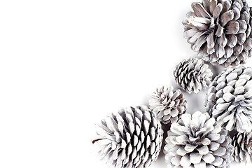 Image showing White decorative pine cones.