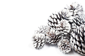 Image showing White decorative pine cones.