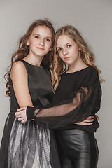 Image showing The fashion girls standing together and looking at camera over gray studio background