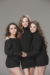 Image showing The fashion girls standing together and looking at camera over gray studio background