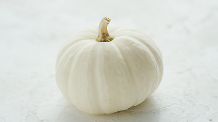 Image showing Big ripe white pumpkin