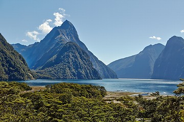 Image showing Landscape in New Zealand Fjordland