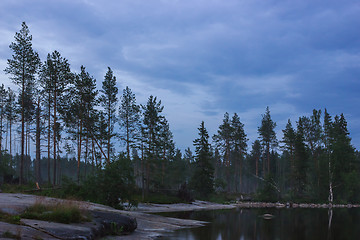 Image showing Trees On The Stony Shore Of The Northern Lake