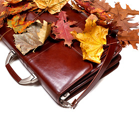 Image showing Brown leather briefcase and autumn dried leaves