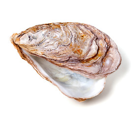 Image showing Empty seashell from oyster