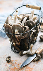 Image showing raw mushrooms