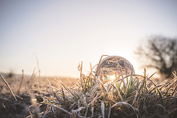 Image showing Glass orb lighting up in the sunrise