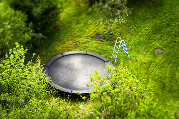 Image showing Large trampoline in a garden with a ladder