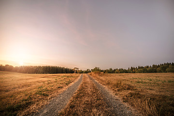 Image showing Dirt road in the sunset going to a forest