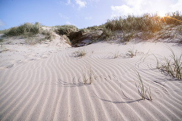 Image showing Beach shaped by the wind on a Scandinavian shore