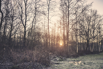 Image showing Sunrise on a frosty morning in December