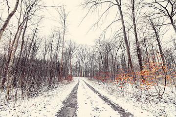 Image showing Winter landscape with a road going through a forest