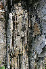 Image showing Stone pattern.