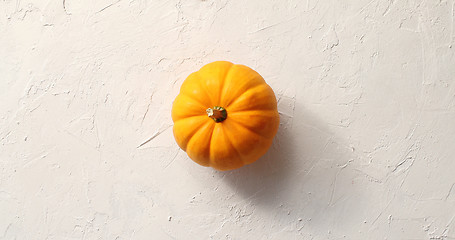 Image showing One orange pumpkin in middle