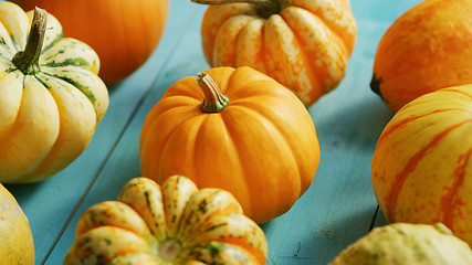 Image showing Pumpkins laid in row on table