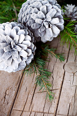 Image showing Christmas fir tree branch and white pine cones.