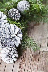 Image showing Christmas fir tree branch and white pine cones.