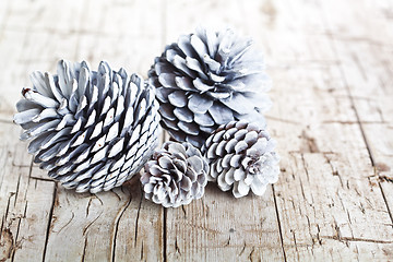 Image showing White decorative pine cones.