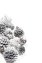 Image showing White decorative pine cones.