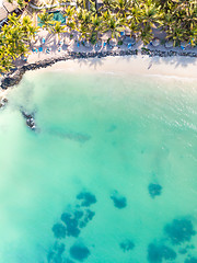 Image showing Aerial view of amazing tropical white sandy beach with palm leaves umbrellas and turquoise sea, Mauritius.