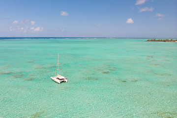 Image showing Aerial view of Catamaran boat sailing in turquoise lagoon of Ile aux Cerfs Island lagoon in Mauritius.