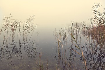 Image showing Fog on the lakeside