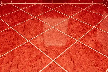 Image showing Tiled bathroom floor