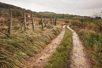 Image showing Dirtroad in the countryside