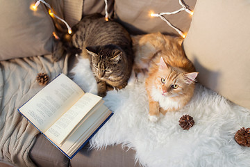 Image showing two cats lying on sofa with book at home