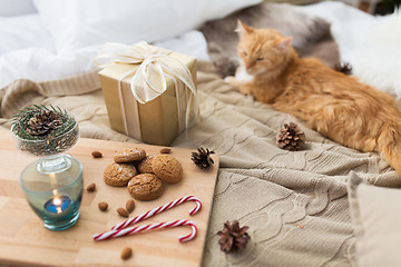 Image showing red cat lying in bed with christmas gift at home