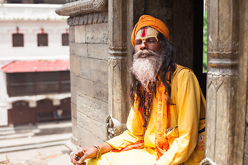 Image showing Sadhu in Pashupatinath