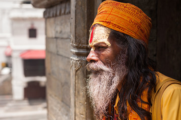 Image showing Sadhu in Pashupatinath