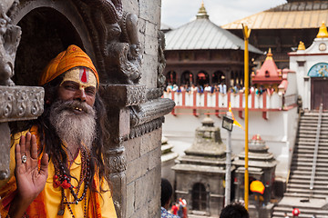 Image showing Sadhu in Pashupatinath