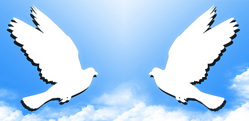 Image showing Couple doves