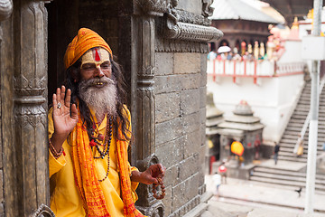 Image showing Sadhu in Pashupatinath