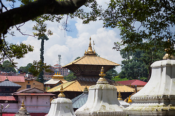 Image showing Pashupatinath Temple