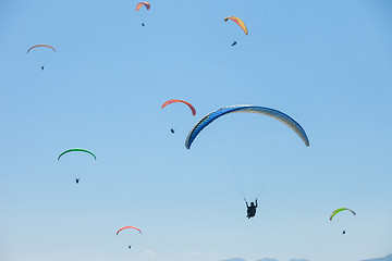 Image showing Paragliding over Pokhara, Nepal