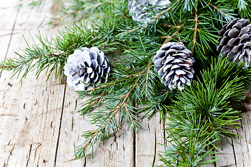 Image showing Evergreen fir tree branch and white pine cones?