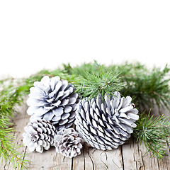 Image showing Evergreen fir tree branch and white pine cones.