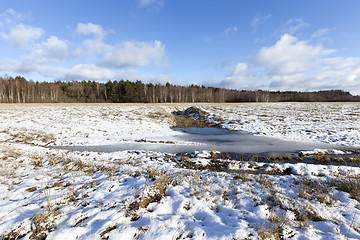 Image showing Photo of snow, close-up