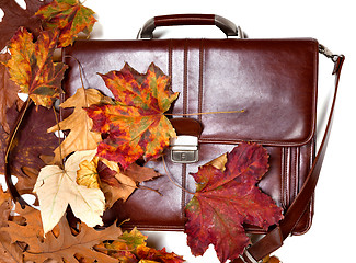 Image showing Brown leather briefcase and autumn dry leaves