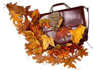 Image showing Brown leather briefcase and autumn multicolor dry leaves