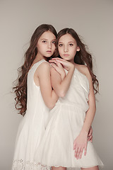 Image showing The fashion girls standing together and looking at camera over gray studio background