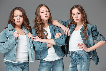 Image showing The fashion girls standing together and looking at camera over gray studio background