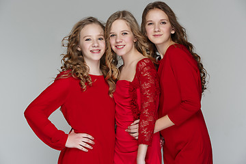 Image showing The fashion girls standing together and looking at camera over gray studio background