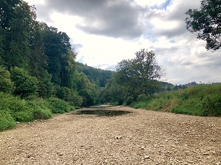 Image showing Seepage of the Danube river in Germany