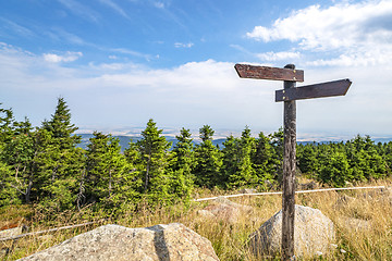 Image showing Wooden sign showing different directions