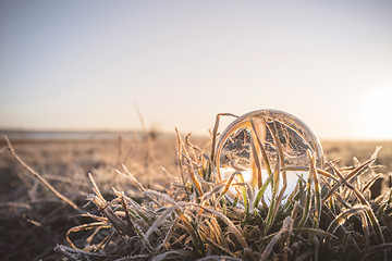 Image showing Crystal ball in frozen grass in the sunrise